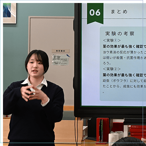 個人探究